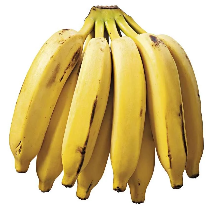 sorrifrutas_banana_terra