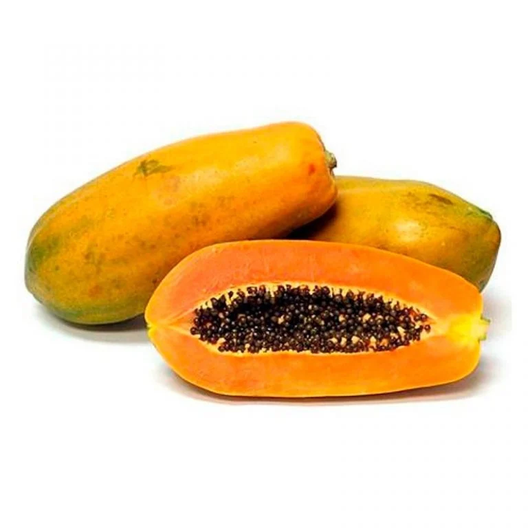 sorrifrutas_mamao_formosa