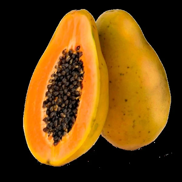 sorrifrutas_mamao_papaya