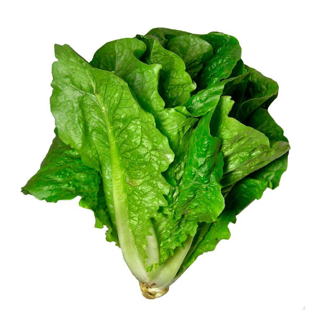 ALMEIRÃO