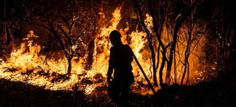 incêndio-pantanal-mato-grosso-5-840x560